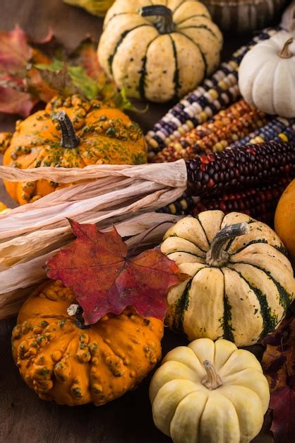 Premium Photo Autumn Still Life With Pumpkin