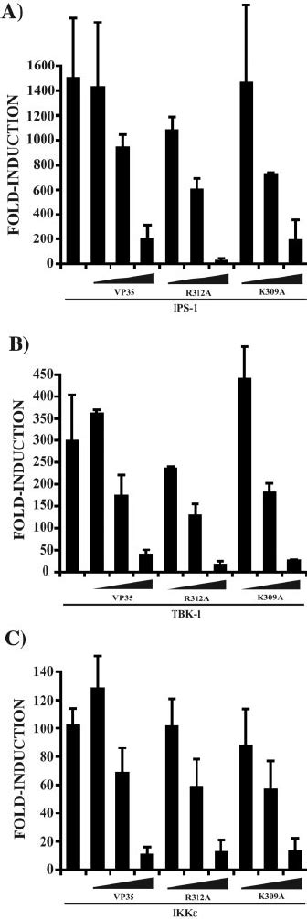 Wild Type Vp And Dsrna Binding Mutants Block Ips Tbk And Ikk