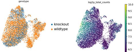 Hands On Filter Plot And Explore Single Cell Rna Seq Data With Scanpy