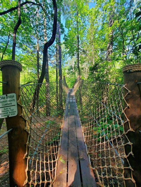 A Rope Bridge In The Middle Of A Forest