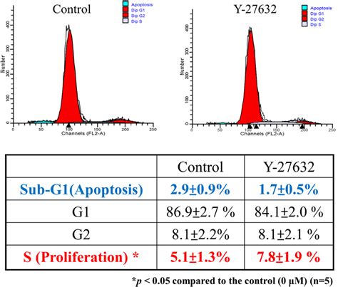 Effects Of Y 27632 On The Cell Cycle Distribution And Apoptosis Of Download Scientific Diagram