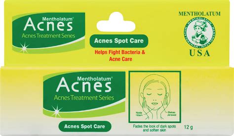 Acnes Spot Care Rohto Laboratories Indonesia