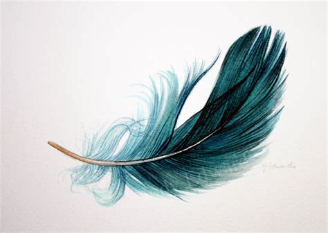 Floating Feather 6 Watercolor Study Original Feather Painting