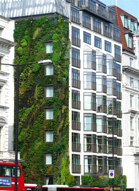 Athenaeum Hotel, London | Vertical Garden Patrick Blanc