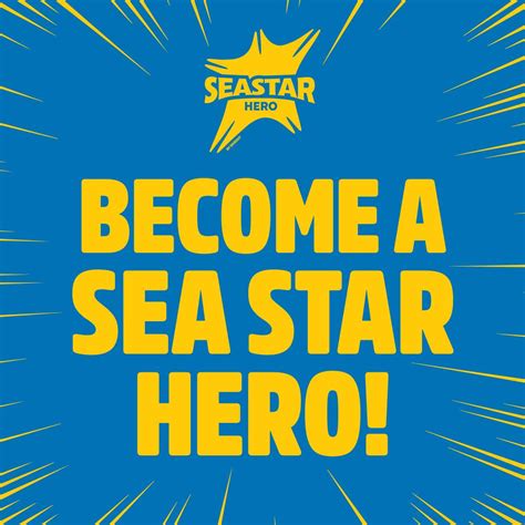 Be A Seastar Hero Too Mosaic Of Experiences Porec Istra Istria