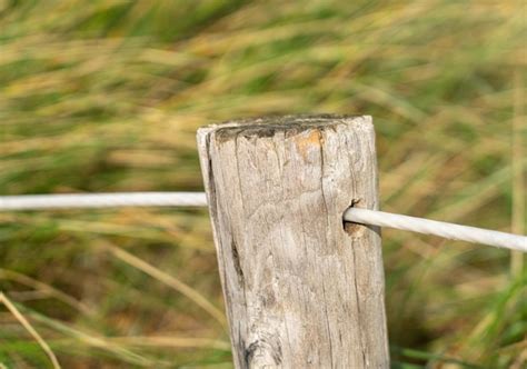 Premium Photo | Close-up of wooden post on fence