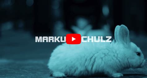 The Rabbit Hole Circus Markus Schulz Album