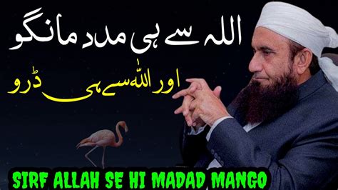 Allah Se Daro Aur Usse Hi Madad Mango Molana Tariq Jameel