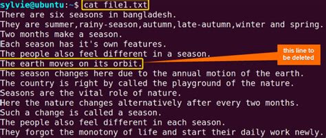 The “sed” Command in Linux [7 Practical Examples]