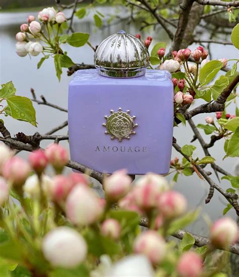 Best Smelling Lilac Perfumes For Her Tested In