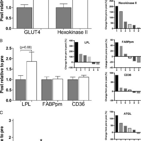 A GLUT4 And HKII B Lipoprotein Lipase LPL FABPpm CD36 C ATGL