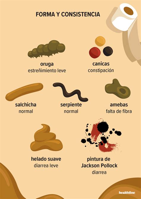 Los Tipos De Heces Y Qu Problemas Indican La Escala De Bristol The