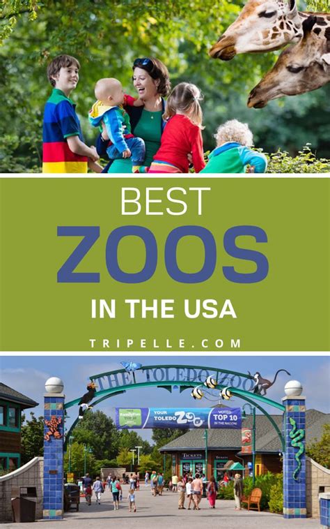 Best Zoos in the USA | Travel usa, Zoo, Best zoos in america