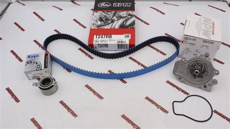 Gates T247rb Timing Belt Kit B18c 96 01 Integra Gsr Vtec B18c5 Type R Ebay