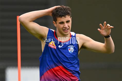 AFL 2023 Training - Western Bulldogs 271123 - A-45209721 - AFL Photos