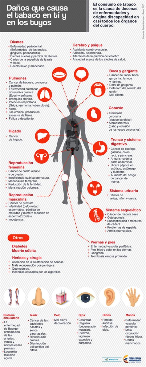 Beneficios Mitos Y Tratamientos Cuáles Son Los Mejores 53 Off