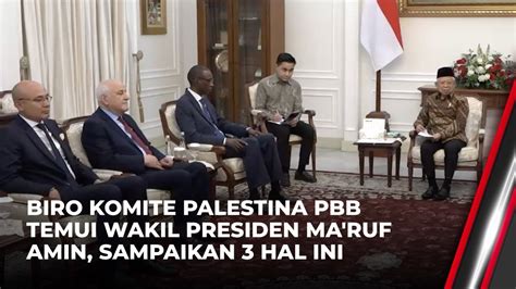 Komite Palestina Pbb Sampaikan Tiga Hal Kepada Wapres Ma Ruf Amin