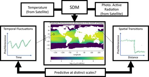 Schematic Of The Operation Of A Species Distribution Model Sdms Like