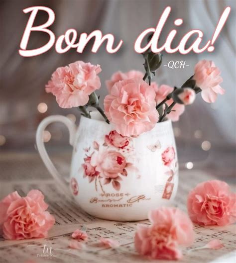 Pin De Sonia Maria Minas Em Bom Dia Mensagem De Domingo Feliz