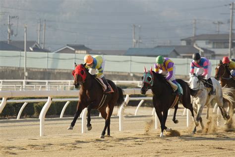 2008年1月6日（日） 福山競馬 9r にゃお吉の高知競馬応援写真日記＋α（高知の美味しいお店）