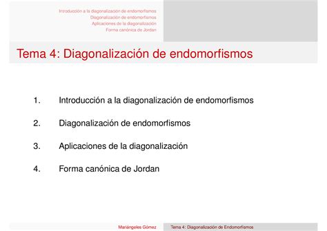 Introducción A La Diagonalización De Endomorfismos Ingeniería Electrónica De Comunicaciones