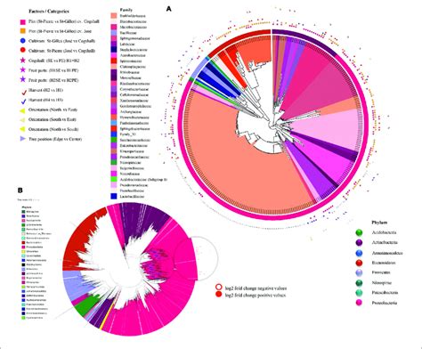 Differential Abundance Analysis Deseq Applied To Different