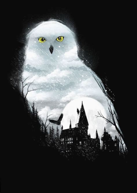 Harry Potter Hedwig Wallpapers Wallpaper Cave