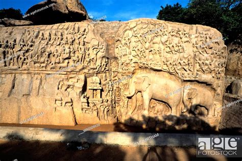 Bas Relief Arjunas Penance Mahabalipuram Mamallapuram Tamil Nadu