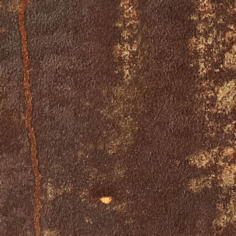 Corten Steel Pbr Texture Seamless