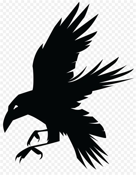 Ravens Logo Bird Bird Black Bird Trong Cánh Chuyến Bay Vươn Ra Lông