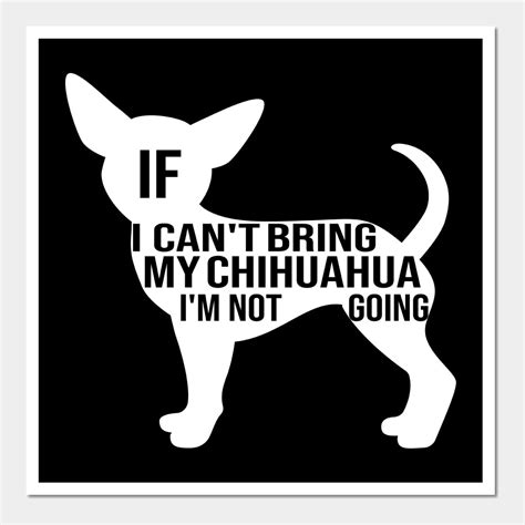 16 best chihuahua quotes and sayings – Artofit