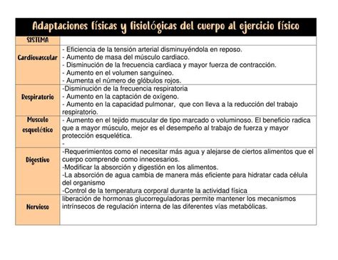 Adaptaciones F Sicas Y Fisiol Gicas Del Cuerpo Al Ejercicio F Sico