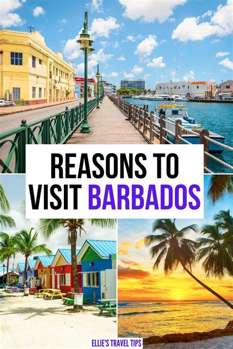 Astonishing Reasons To Visit Barbados For Your Vacation