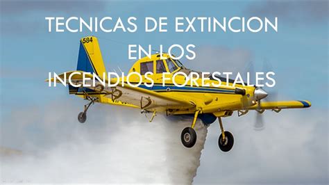 TÉcnicas De ExtinciÓn En Los Incendios Forestales Youtube