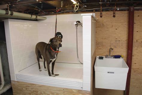 10 Best Dog Grooming Tubs - Foter