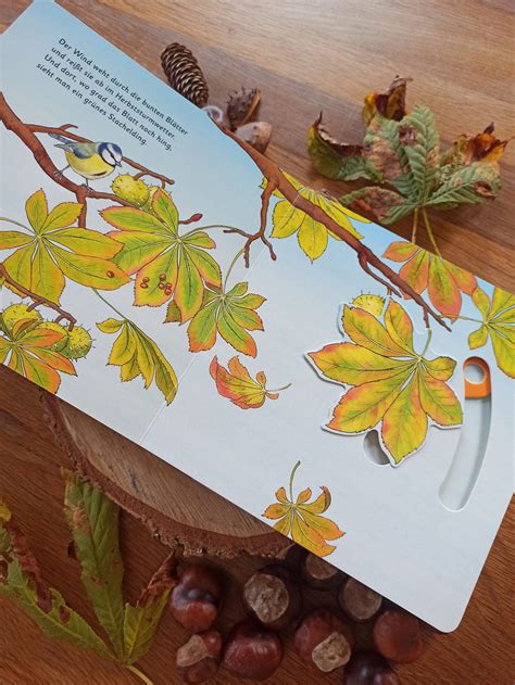 Ein Herbstliches Pappbilderbuch Das Kastanienwunder Buchkinderblog