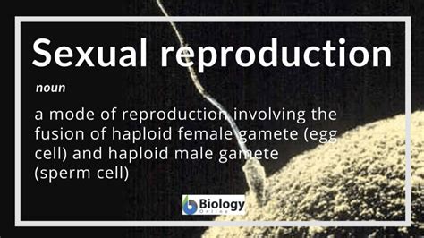 Sexual Reproduction Definition And Examples Biology Online Dictionary