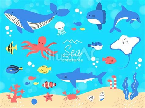 海の生き物セット2イラスト No 25353697｜無料イラスト・フリー素材なら「イラストac」