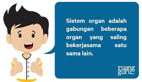 Apa Itu Sistem Organ Dan Organisme Ciri Ciri Dan Contohnya Biologi