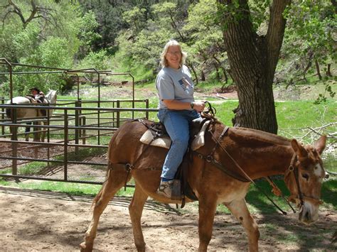 Staffords On The Road Zion National Park Horseback Ride Utah