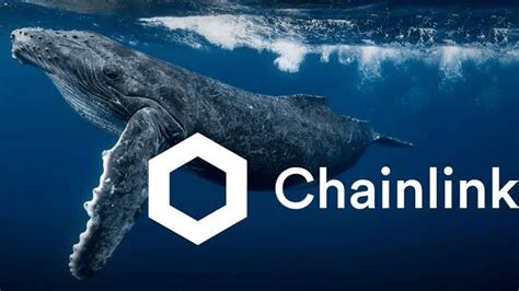 Chainlink Whale Accumulation Signals Strong Market Interest LINK Price