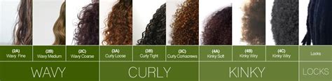 Know Your Curl Type | Miss Beauty Glam