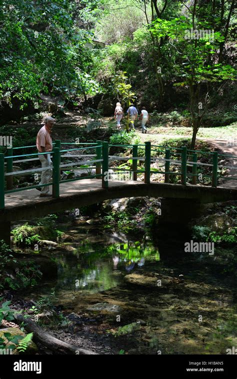 Reserva biosfera sierra gorda Banque de photographies et dimages à