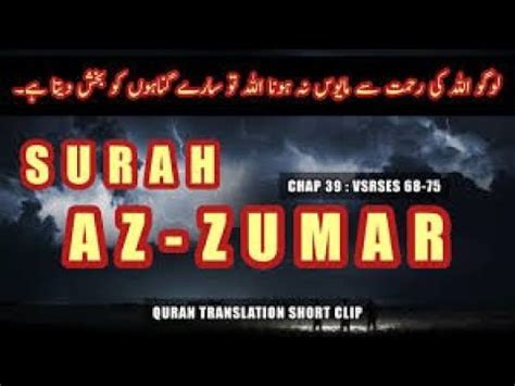 Surah Az Zumar Full With Arabic Text HD 39 سورة الزمر Islamic