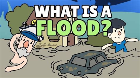 What Is A Flood Causes Of Flood Effects Of Flood In 2023 Flood