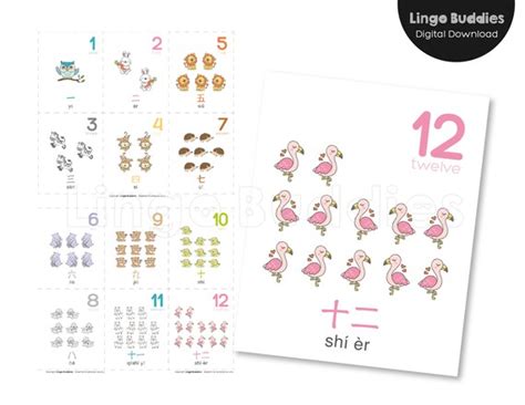 Chinese Numbers Flashcards Printable Counting Flashcards | Etsy