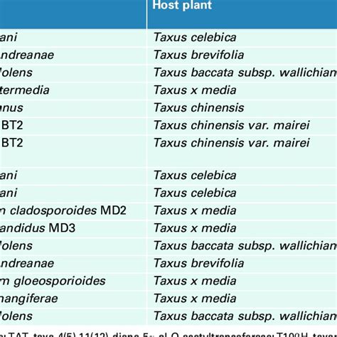 PDF Rethinking Production Of Taxol Paclitaxel Using Endophyte