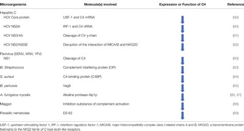 Frontiers Complement C4 Infections And Autoimmune Diseases