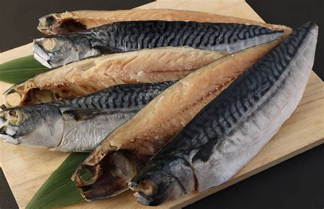 【訳あり規格外】 業務用 無添加 さば文化干し どーんと 48kg 鯖 さば 干物 魚 茨城県神栖市｜ふるさとチョイス ふるさと納税サイト