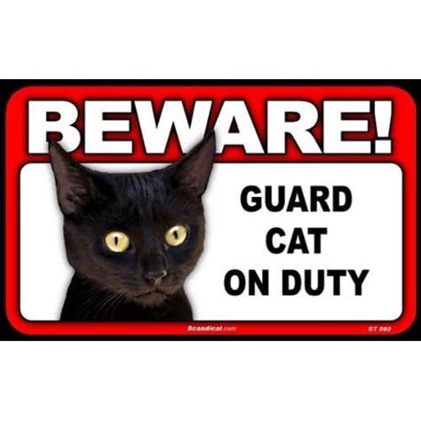 Amazon.com : BEWARE Guard Cat on Duty Sign - Black Cat : Yard Signs : Patio, Lawn & Garden